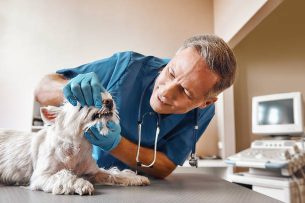 Best Emergency Root Canal Treatment in Hoboken, NJ